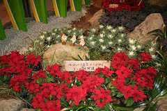 �z�O����̗�